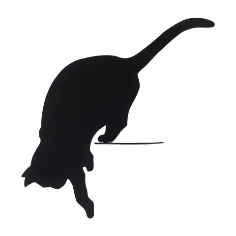 animaux Ombres Chats