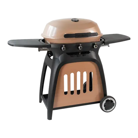 barbecue à gaz Ryde 3
