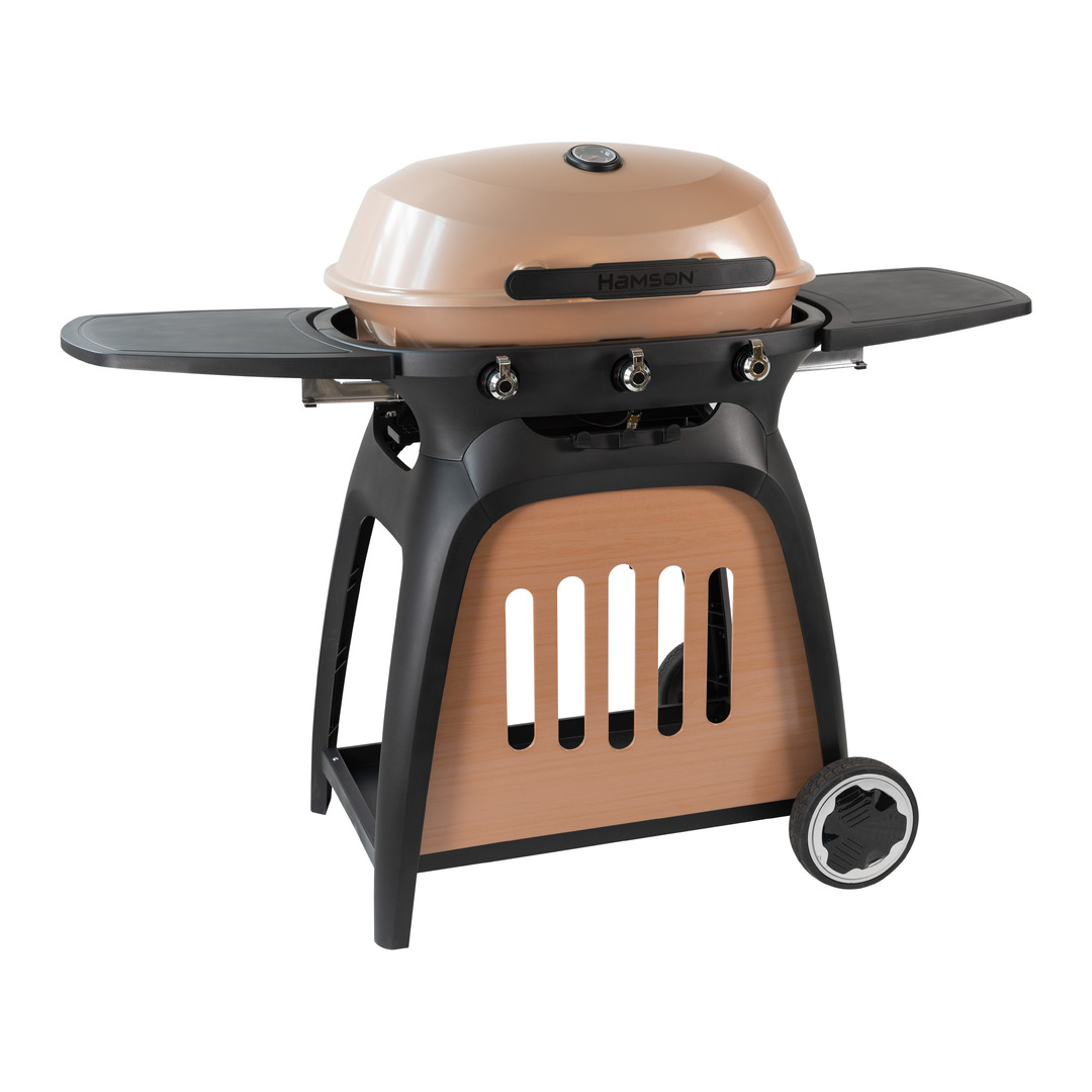 Gasgrill Ryde 3