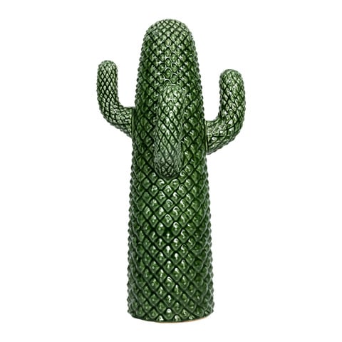 cactus decorativo Cacto