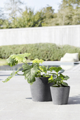 Gartentopf Amsterdam