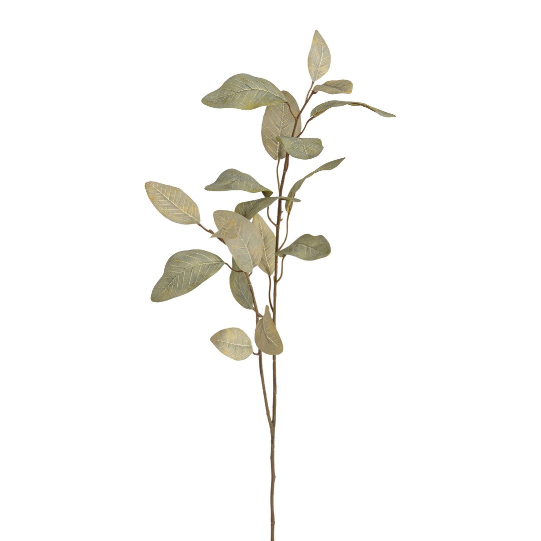 branche décorative Eukalypa