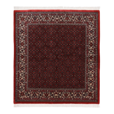 tappeto persiano Bidjar