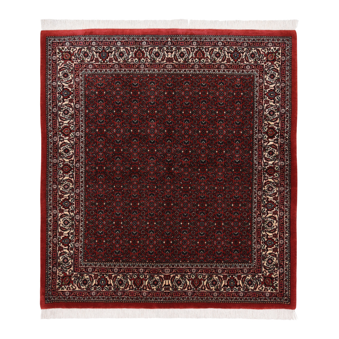 tappeto persiano Bidjar