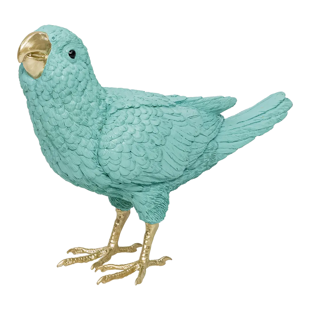 Vogel Kiara