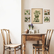 Quadro con cornice BOTANICAL