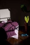 housse de duvet Linus