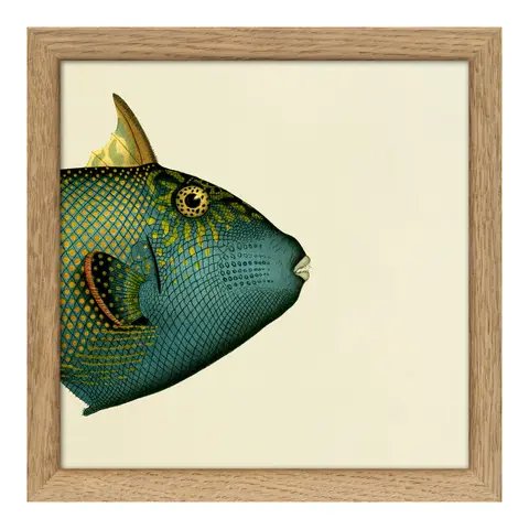 Quadro con cornice BOTANICAL