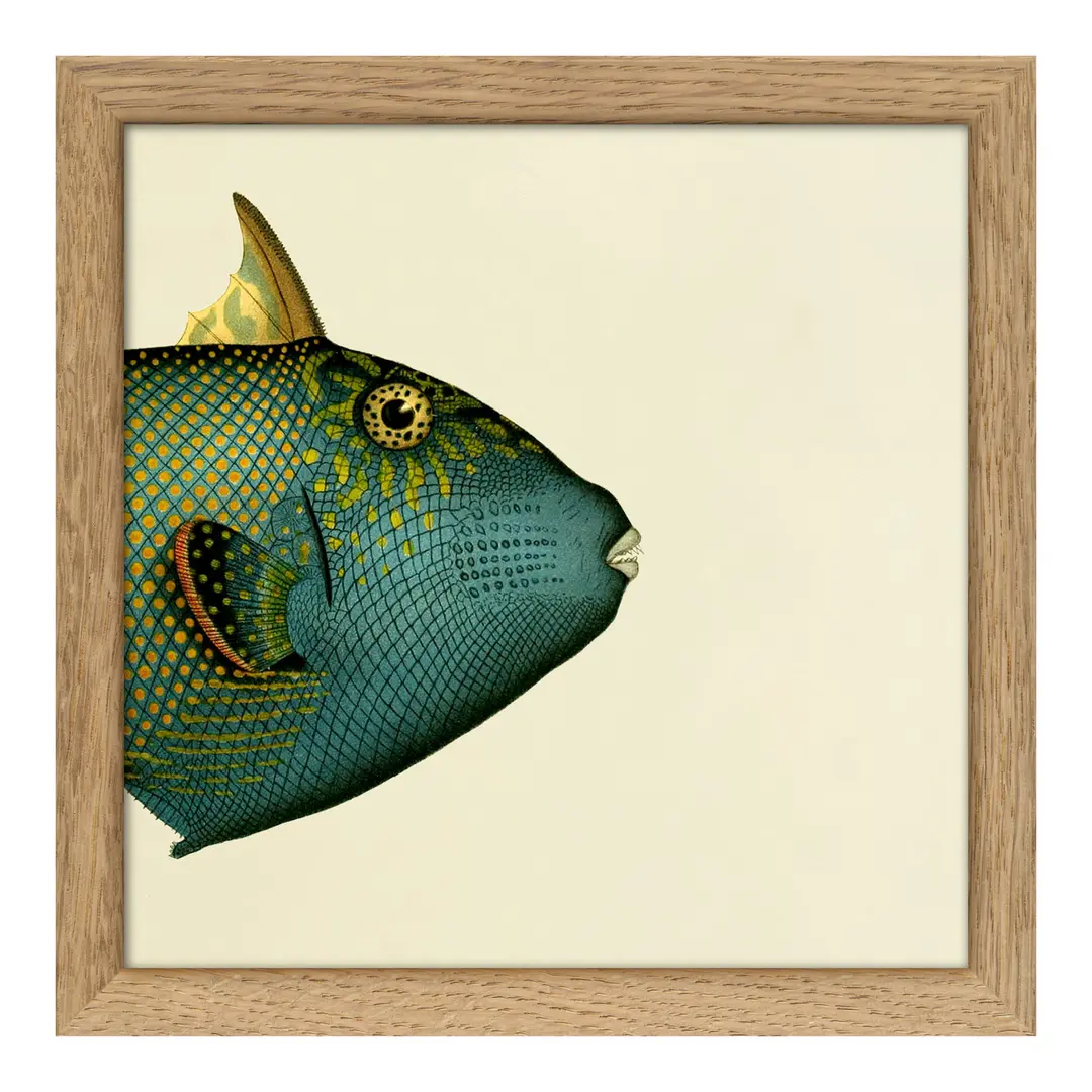 Quadro con cornice BOTANICAL