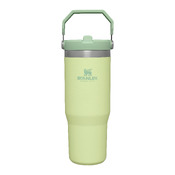 Trinkflasche Stanley
