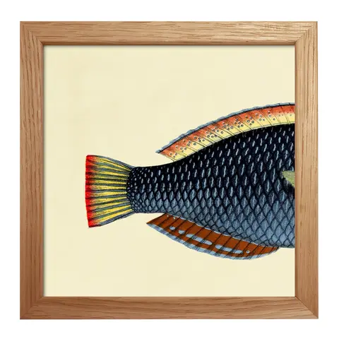 Quadro con cornice BOTANICAL