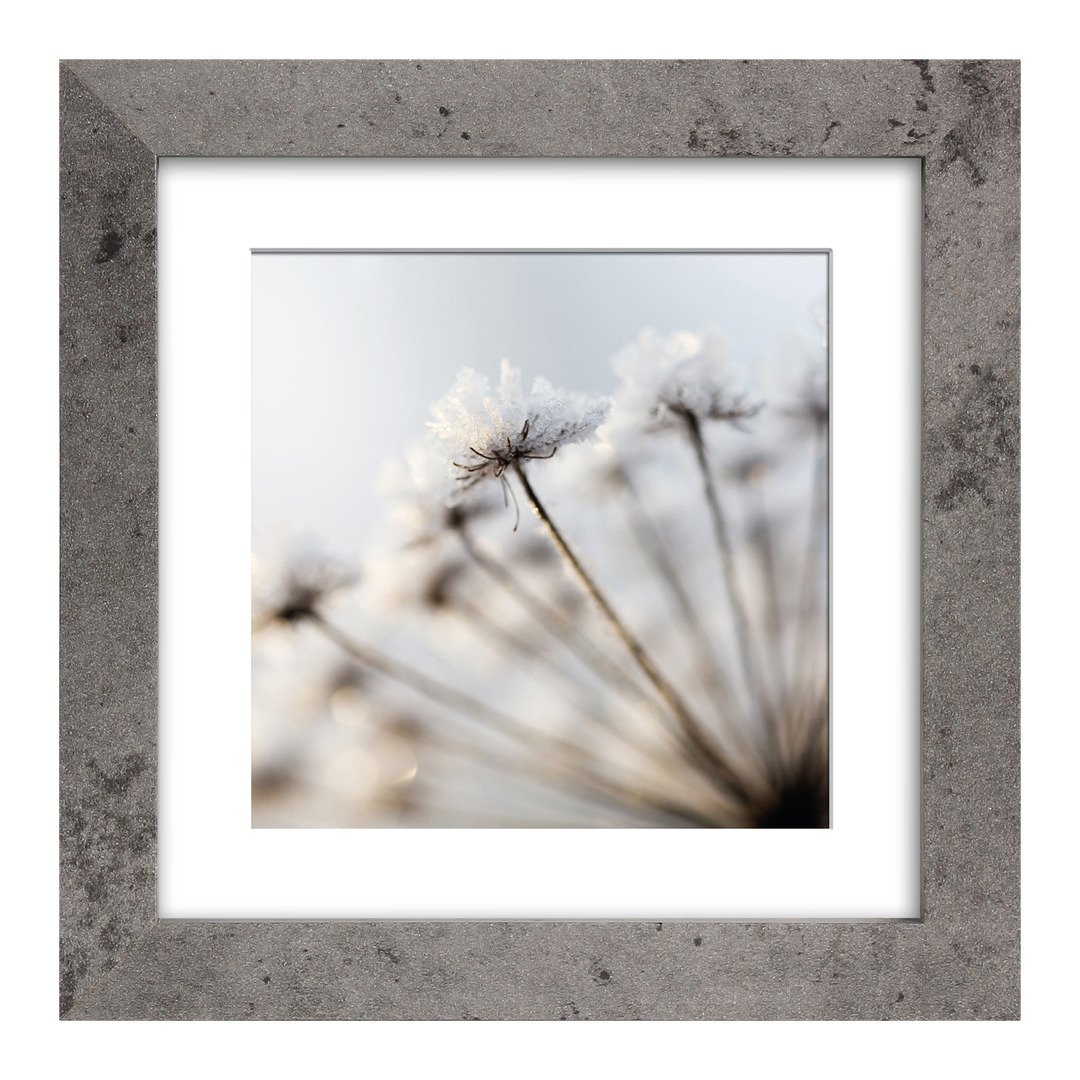 cadre The Frame