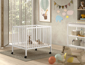 playpen Dino