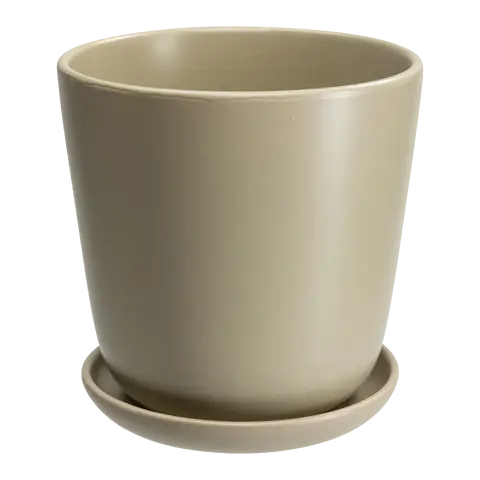 coprivaso Rukatunturi