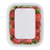 Vorratsdose Greensaver