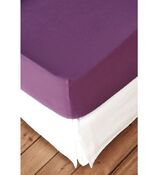 foglio fisso per boxspring Feinjersey