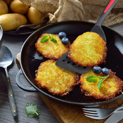 spatule Gallant Plus