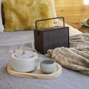DAB Radio Pure Evoke Play