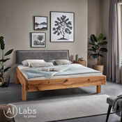 lit Lignum Plus