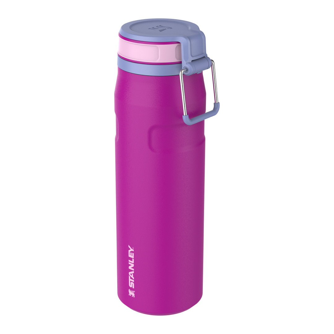 thermos Stanley
