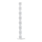 scaffale PTOLOMEO