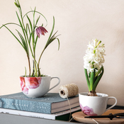 Kaffeetasse Rose Garden