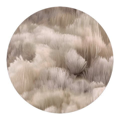 tapis de laine BEETLE DUNES