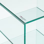 Regal Smart