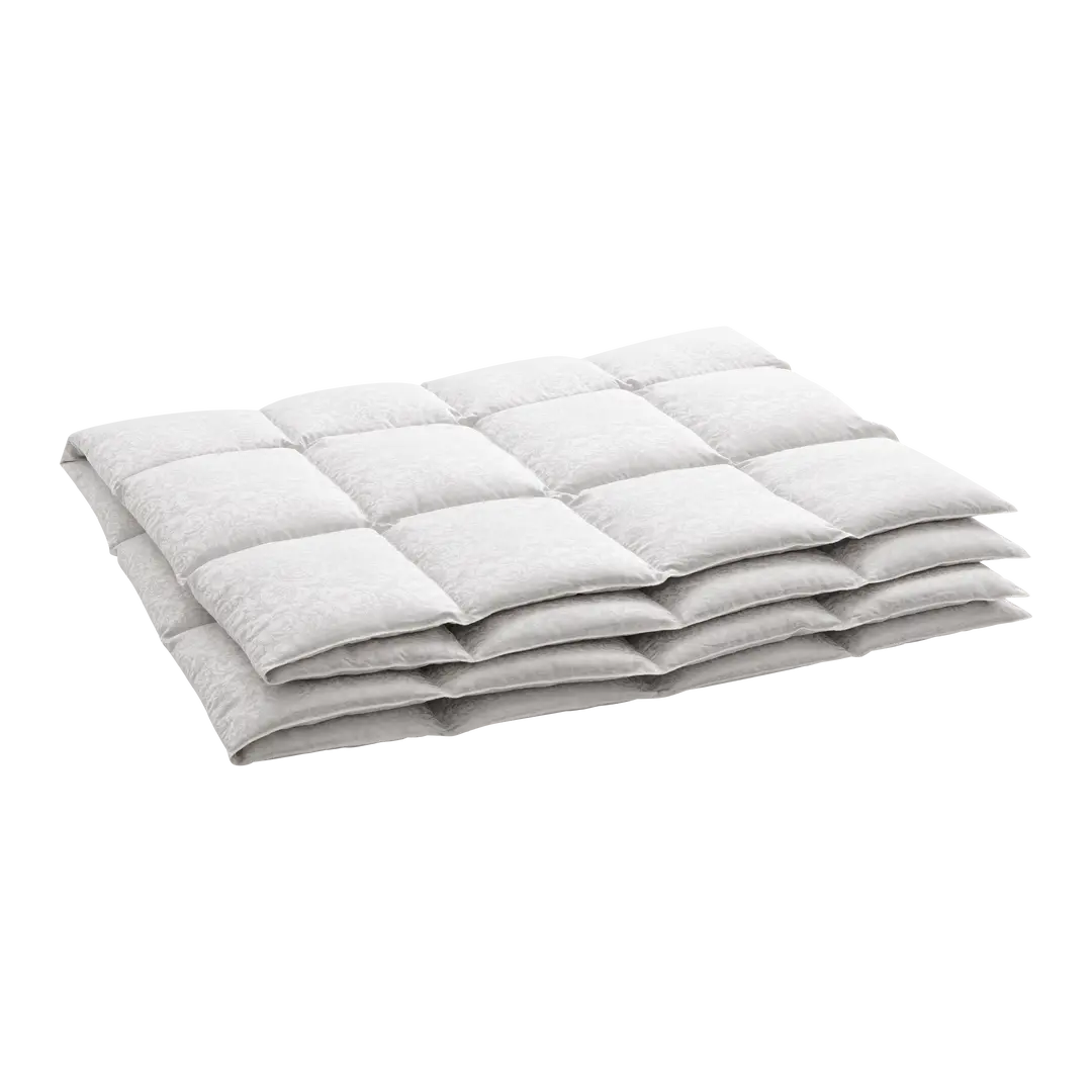 duvet Eider Caro