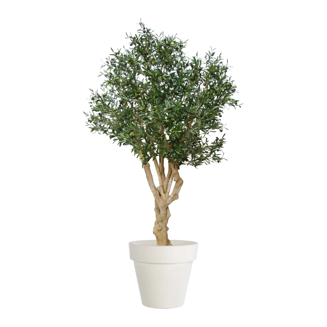 Kunstpflanze Olea europaea