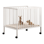 playpen Dino