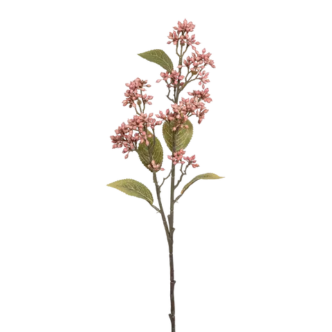 ghirlanda di decorazione Viburnum