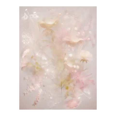 tappeto in lana Poetry Of Wind