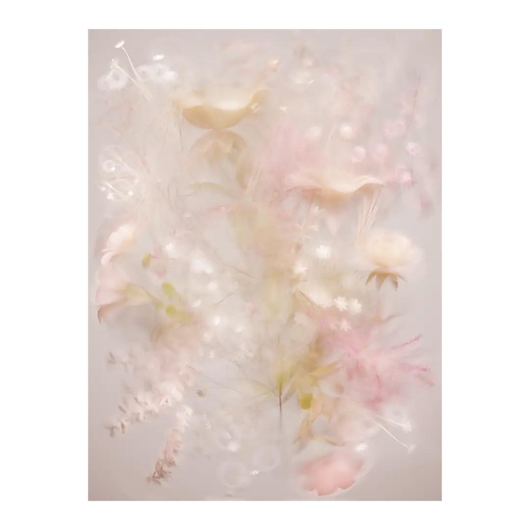 tappeto in lana Poetry Of Wind