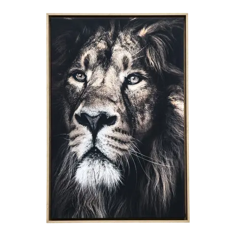 Quadro con cornice Munken