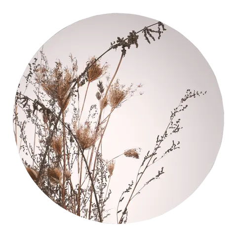 Kunstdruck Circle