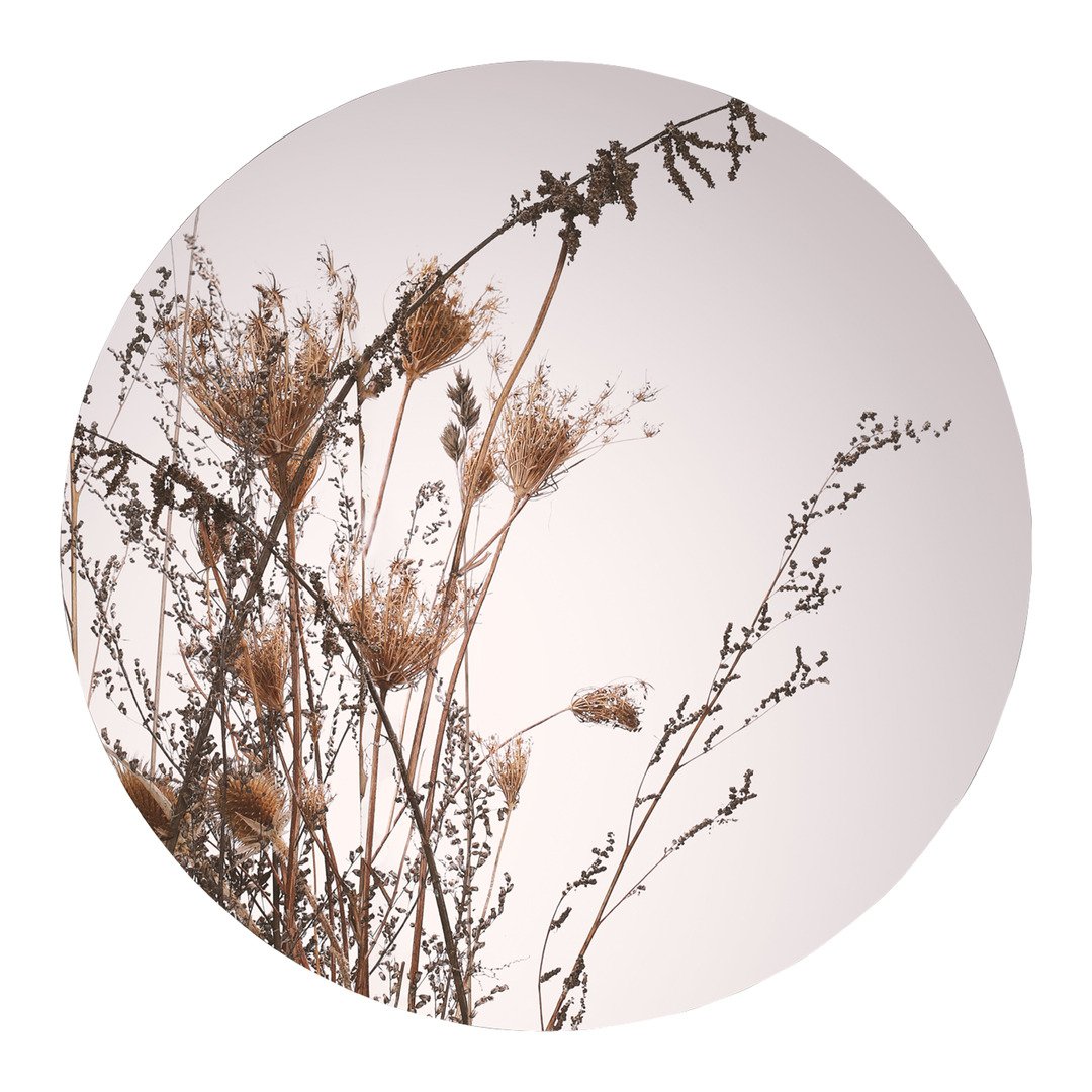 stampa d'arte CIRCLE