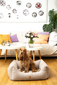 lit pour chien Kingston Basic