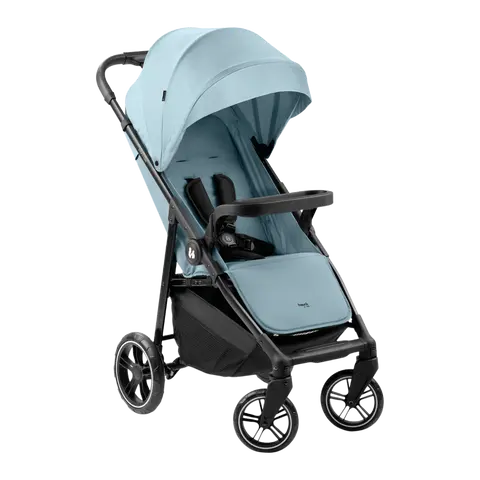 Buggy Shop N Care