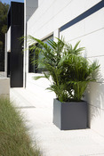 plate-bande surélevée METAL PLANTER