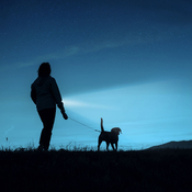 lampe torche Flashlight