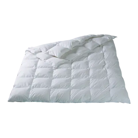 Duvet Genève