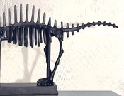 animali DESIGN