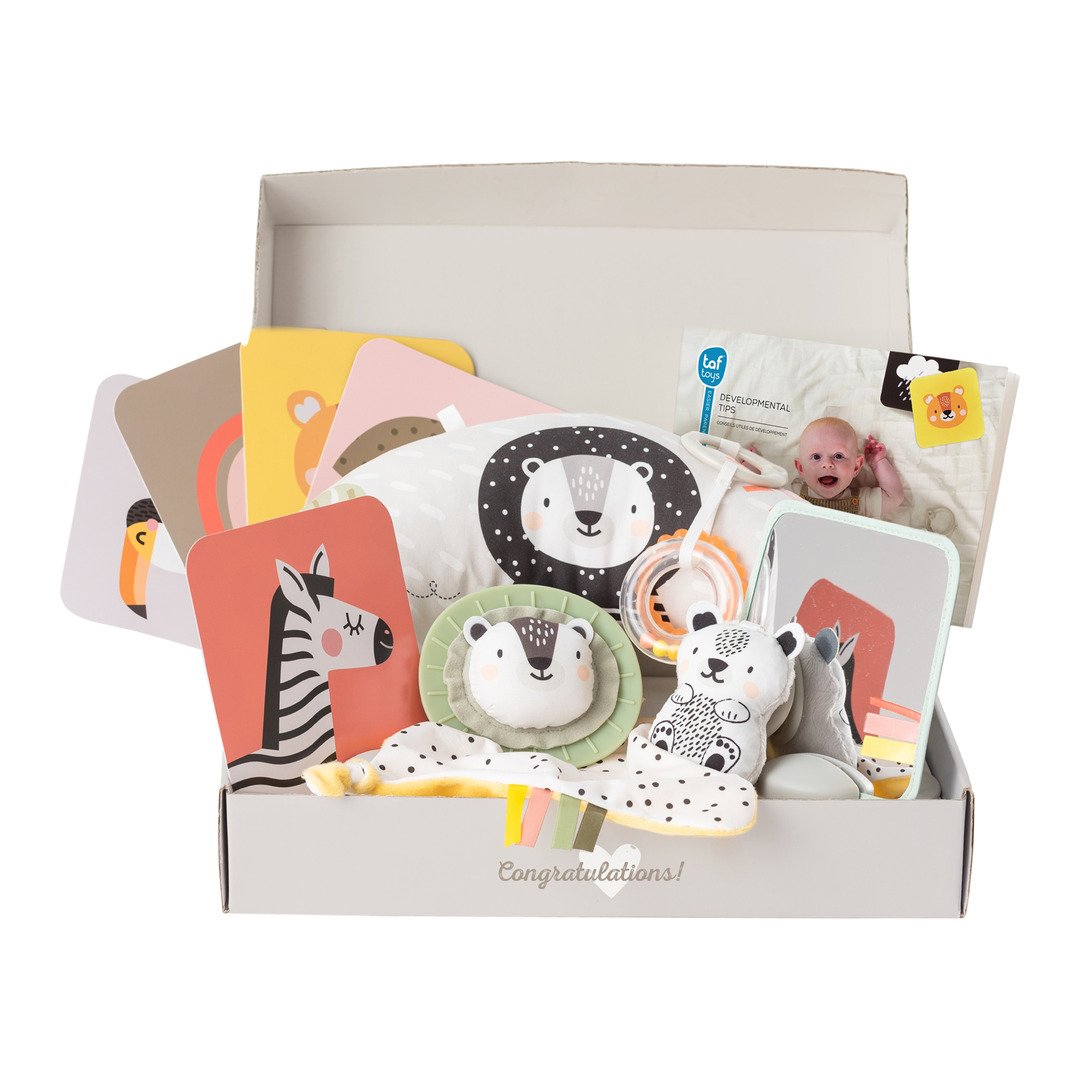 ensemble de jeu Taf Toys