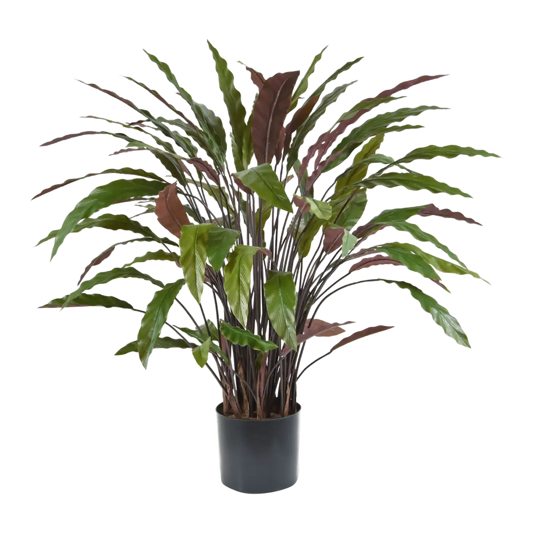 Kunstpflanze Calathea