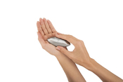 sapone in acciaio inox BSF