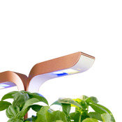 vaso per erbe Smart