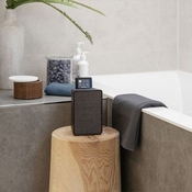 DAB Radio Pure Evoke Spot