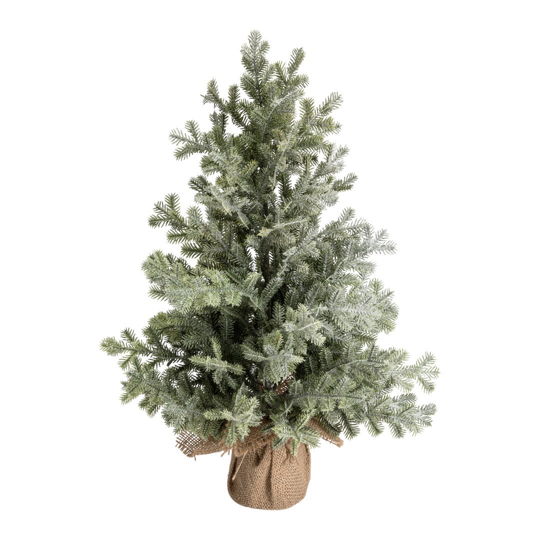 Tannenbaum Mystic Forest