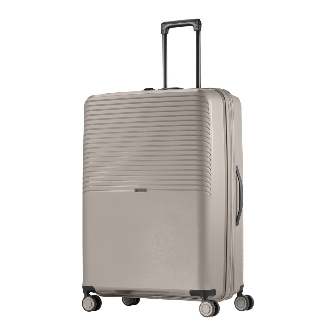 valise trolley Jet